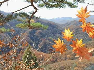 药流药投票通过 马斯克的星舰基地成了一座“真正的”城镇