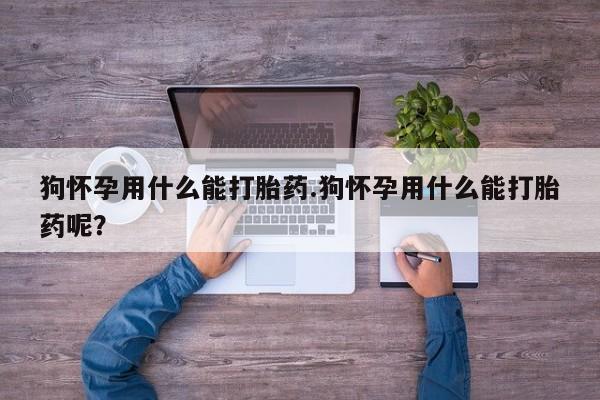 药流药狗怀孕用什么能打胎药.狗怀孕用什么能打胎药呢？