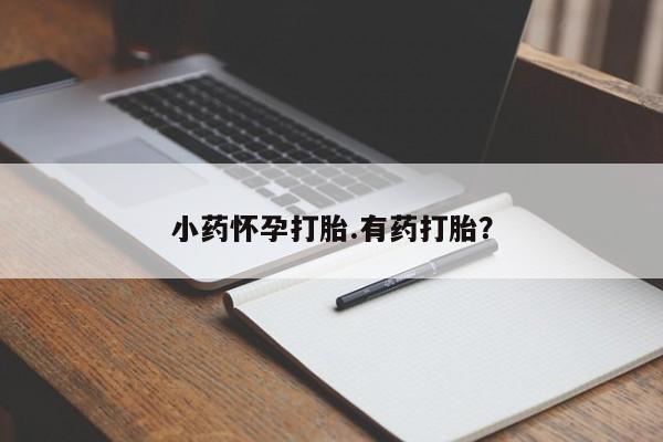 药流药小药怀孕打胎.有药打胎？