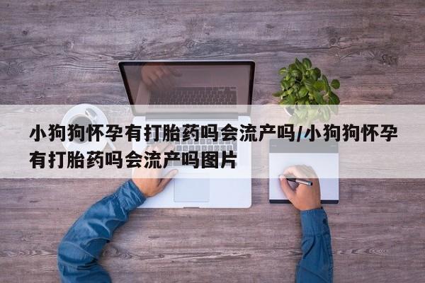 药流药小狗狗怀孕有打胎药吗会流产吗/小狗狗怀孕有打胎药吗会流产吗图片