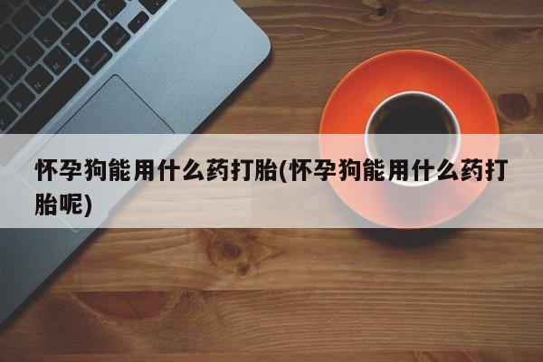 药流药怀孕狗能用什么药打胎(怀孕狗能用什么药打胎呢)